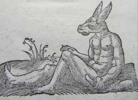 Animalhumanité. Expérimentation et fiction : l’animalité au cœur du vivant
